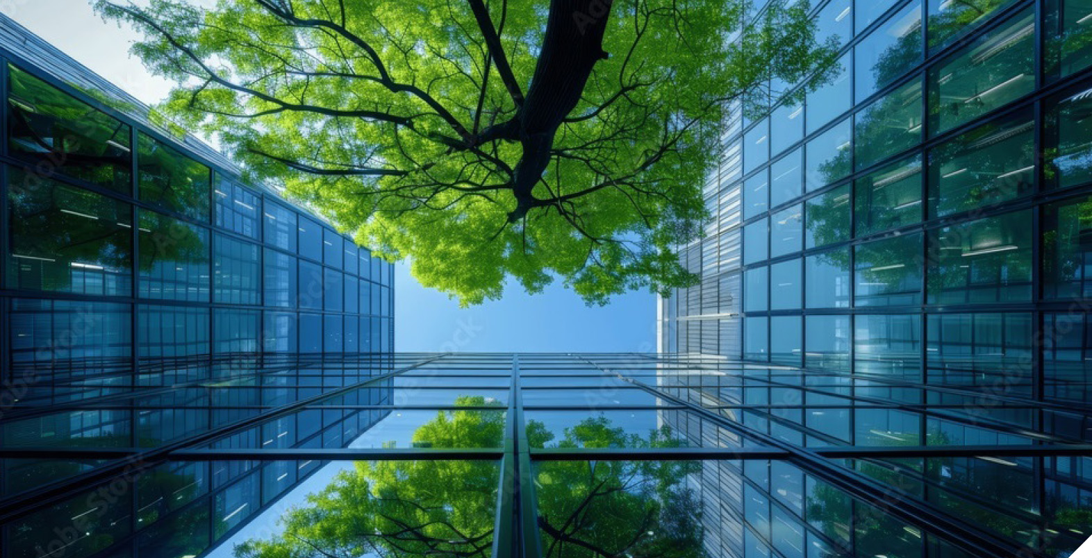 About the Bank About the Bank