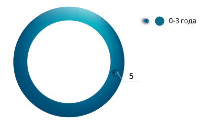 Структура Совета директоров по сроку работы в составе СД, кол-во чел