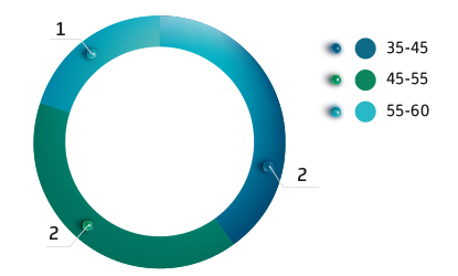 Структура Совета директоров по категориям, кол-во чел.