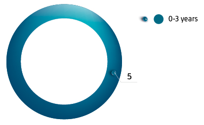 Composition of the Board of Directors by length of service, persons