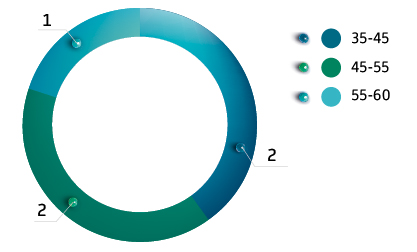 Composition of the Board of Directors by age group, number of persons