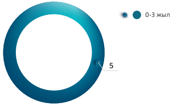 Директорлар кеңесінің ДК құрамында жұмыс істеу мерзімі бойынша құрылымы, адамдар саны